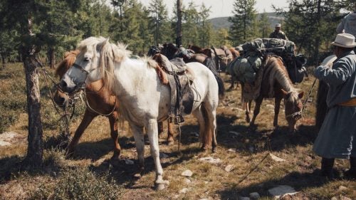 After spending the night in a small town by a turquoise lake called Tsagaan Nuur, we woke up bright and earlier the next morning to meet the horses for the trek to the Darkhad Depression. The horses were smaller than we’d anticipated (and a lot gassier). We loaded up each steed, added a couple new guides and a cook to the party, and ventured on to where cars could not go.