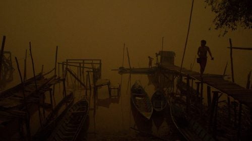 The Kapuas River is essentially the main highway for locals in Sei Ahass. Boats are the main source of transportation and are also key for fishing, a common activity.