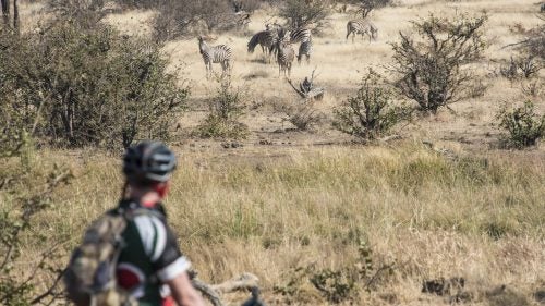 The first day’s ride was 46 miles along sandstone ridges and through the bush on the eastern edge of the Kalahari ecosystem, through the Mashatu and Tuli Game Reserves. As with any safari, there were wildebeests, giraffes, hyenas, jackals, warthogs, guinea fowl, curious vervet monkeys and baboons, and heaps of desiccated dung, which I eventually started aiming for. At one point, a herd of zebras cantered alongside us. The following day, a herd of impalas cut us off.