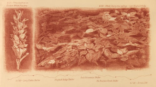 Using red chalk, Rue sketched two of the most well-known examples of trail flora in Tennessee—the Eastern White Pine and Black Cherry tree. Below that, he mapped the elevation profiles of the shelters along Tennessee’s section of the AT.