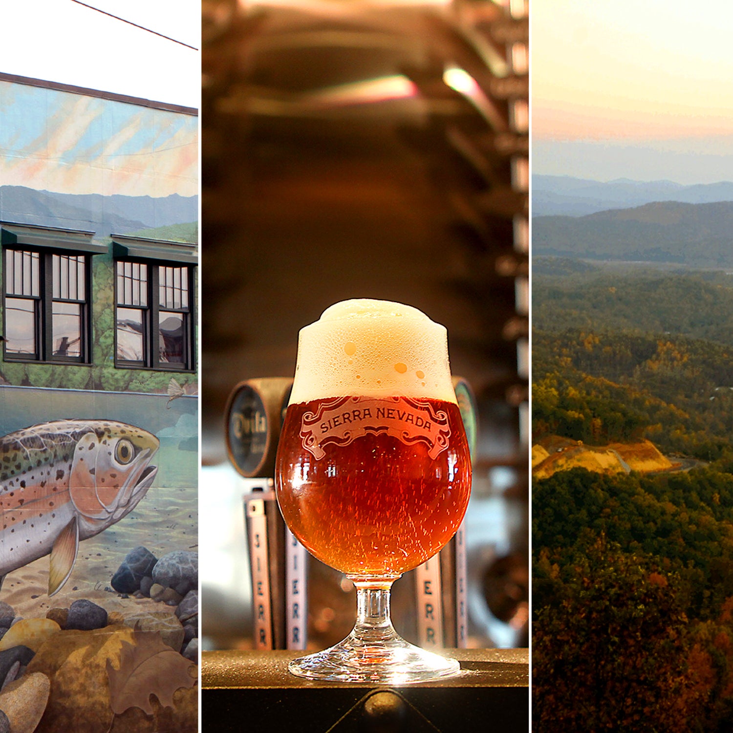From left: An Asheville mural, Sierra Nevada's North Carolina taproom, and Pisgah National Forest.