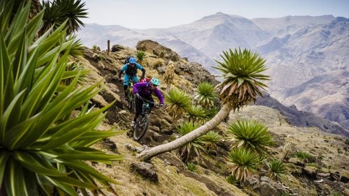 Pro racer Sarah Leishman tears up the descent from Ras Deshan on loamy trails as sticky as Velcro that wove through stands of giant lobelias. The Ethiopian highlands are the only place in the world to see these Dr. Seussian plants, like basketball-size green asterisks on head-high stems. In the highlands, Sarah was almost as much of a rarity as the plants are elsewhere. Whole villages would shout and gape to see a woman shredding as hard as the boys. A few marriage proposals ensued.