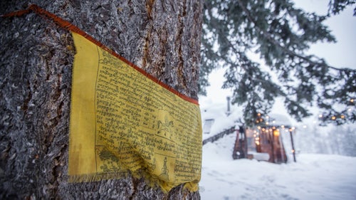 When I moved into the dome, I wrapped prayer flags around the big tree in my front yard. That giant pine tree—and the three others just like it—is one of my favorite things about the house. It’s a key player in the vibes out here at the Board Ranch.