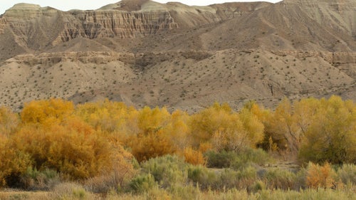 Afton Canyon, “the Grand Canyon of the Mojave,” as Lamfrom describes it, is only one of the remarkable geological forms in this vast wilderness, he says. You can also find sand dunes, and lava tubes, as well as remote desert springs.