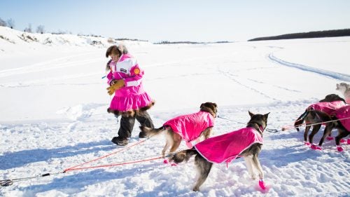 DeeDee Jonrowe leaves the Huslia checkpoint during the 2015 Iditarod. Jonrowe, a 62-year-old cancer survivor, is a legend of the sport. She has run the Iditarod 35 times, with 16 top-ten finishes.