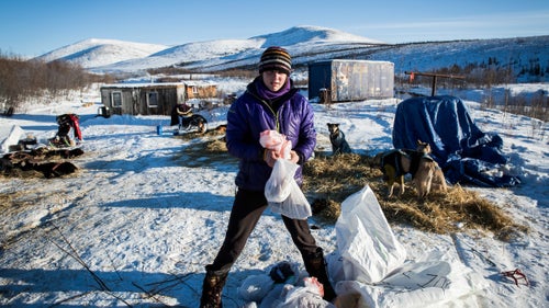 Ryne Olson at the Mile 101 checkpoint during her first Yukon Quest in 2015. She was formerly Aliy Zirkle’s dog handler and raced their SP Kennels team in the 2012 Iditarod. This year she will run her own Ryno Kennel’s dog team. Olson is an up-and-coming musher to watch; she recently placed second in the Copper Basin 300, a mid-distance dogsled race.
