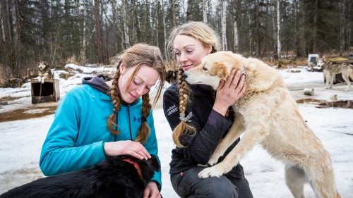 Dogsled racing, or mushing, is one of the rare professional competitive sports that is truly co-ed. Women make up nearly a third of the entries in this year’s 1,000-mile Iditarod Trail Sled Dog Race, considered one of the toughest endurance competitions in the world. Proportionally, top-ten Iditarod finishes between women and men are often an even split. I didn’t even know what the Iditarod was two years ago when I first went on assignment to photograph the Yukon Quest, Alaska’s other 1,000-mile dogsled race. Up until then, I’d mostly documented social issues and life in conflict zones. This is very different—it’s a lifestyle, not life-and-death—but I am drawn to authentic human stories within extreme circumstances, which is exactly what mushing is about. The racing and training locations are some of the most beautiful, untouched landscapes in the world. The bond between the mushers and their dogs is interesting and challenging to capture. The mushers themselves are dedicated, self-sufficient, and extremely well-versed in survival skills. And I love the dogs. Female mushers can understandably get tired of outsiders like me coming in and focusing on their gender. But I think they’re all rad and exactly the kind of role models girls should know about. I’ll be covering this year’s Iditarod, which starts March 5, but these are some favorite shots from past 1,000-mile dogsled races and visits to kennels. Photo: Anna and Kristy Berington with their dogs in Wasilla, Alaska, before the start of the 2015 Iditarod. The twin sisters started mushing in Wisconsin at the age of 10, and have been racing the Iditarod for the past six years. When they aren’t mushing they work construction, run triathlons, and manage a competitive racing kennel, Team Jannsen.