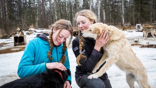 Dogsled racing, or mushing, is one of the rare professional competitive sports that is truly co-ed. Women make up nearly a third of the entries in this year’s 1,000-mile Iditarod Trail Sled Dog Race, considered one of the toughest endurance competitions in the world. Proportionally, top-ten Iditarod finishes between women and men are often an even split. I didn’t even know what the Iditarod was two years ago when I first went on assignment to photograph the Yukon Quest, Alaska’s other 1,000-mile dogsled race. Up until then, I’d mostly documented social issues and life in conflict zones. This is very different—it’s a lifestyle, not life-and-death—but I am drawn to authentic human stories within extreme circumstances, which is exactly what mushing is about. The racing and training locations are some of the most beautiful, untouched landscapes in the world. The bond between the mushers and their dogs is interesting and challenging to capture. The mushers themselves are dedicated, self-sufficient, and extremely well-versed in survival skills. And I love the dogs. Female mushers can understandably get tired of outsiders like me coming in and focusing on their gender. But I think they’re all rad and exactly the kind of role models girls should know about. I’ll be covering this year’s Iditarod, which starts March 5, but these are some favorite shots from past 1,000-mile dogsled races and visits to kennels. Photo: Anna and Kristy Berington with their dogs in Wasilla, Alaska, before the start of the 2015 Iditarod. The twin sisters started mushing in Wisconsin at the age of 10, and have been racing the Iditarod for the past six years. When they aren’t mushing they work construction, run triathlons, and manage a competitive racing kennel, Team Jannsen.