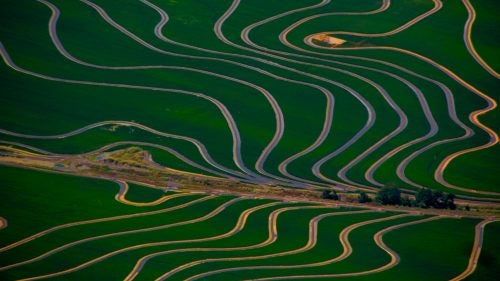 “Agriculture is nothing short of amazing when viewed from above, as farmers follow the curve and texture of land and water flow to maximize growth, painting a picture only viewable from the sky. I have cataloged fields all over the US for over five years, with a never-ending diversity of color and texture.”