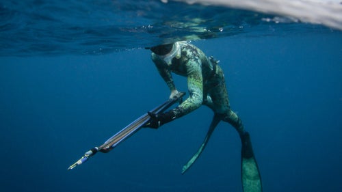 Last year, pro surfer Mark Healey and a team of scientists journeyed to island of Mikomoto, a craggy, deserted place off the coast of Japan, to study a community of endangered hammerhead sharks that congregate nearby. Healey joined the expedition to tag the rare sharks with a speargun and photographer Kanoa Zimmerman came along to capture it all.
For most of the trip, however, the skittish sharks didn’t even show.
“We didn’t see hammerhead sharks for a while—for days,” Zimmerman says. “We were starting to think there weren’t even hammerhead sharks around. We’d hear from tour groups that they’d seen some. Everyone had seen them but us. We started to go insane.”
In a feature this month, Thayer Walker details Healey’s quest to tag these rare sharks. But even the days Healey spent searching for hammerheads are chock full of adventure. From tagging other rare creatures to exploring big-wave surf spots around the world, this is what a few days in the life of a professional waterman look like.
Photo: Healey learned to swim before he could walk and says he’s spent “a third of the year with a dive mask on since the age of 12.” Though he earns a living surfing the biggest waves he can find, Healey’s first love is spending time underwater. “People always think of Mark as a professional surfer,” says spearfishing record holder Cameron Kirkconnell, “but the truth is, he surfs to support his diving habit.”