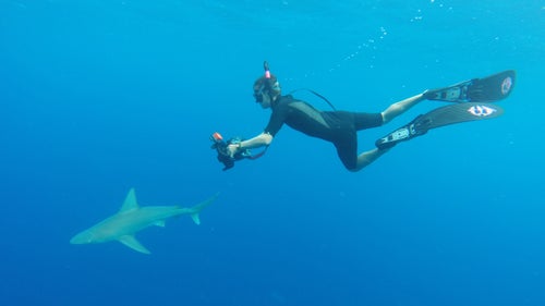 Last year, Healey took teenager Kyle Soto out for some cageless shark diving off the North Shore of Oahu. Soto, an aspiring photographer, had lymphoma and swimming with the sharks was part of his Make a Wish foundation dream. “He’s a very impressive guy,” Healey says. “He is taking some amazing photos.”