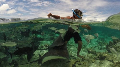 In French Polynesia, Healey met Wilfred, a local who’s built a relationship with the local wild stingrays, and captured these shots on his GoPro.
French Polynesia is home to Teahupo’o, one of the gnarliest waves on earth—a roaring, enormous barrel that breaks over mere feet of rocky reef. Healey rides it as well as anyone on earth, but here’s what it looks like when things go wrong.