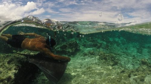 Healey took this photo of Wilfred catching a ride on one of his Stingray friends. “He doesn’t even bother to wear fins to get around, as he can always rely on one of the Stingrays to give him a lift in exchange for a half sardine,” Healey says. “Uber Mo’orea style.” Healey has been coming to Tahiti and French Polynesia for the surf for over 20 years, he says.
