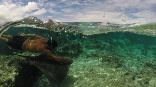 Healey took this photo of Wilfred catching a ride on one of his Stingray friends. “He doesn’t even bother to wear fins to get around, as he can always rely on one of the Stingrays to give him a lift in exchange for a half sardine,” Healey says. “Uber Mo’orea style.” Healey has been coming to Tahiti and French Polynesia for the surf for over 20 years, he says.