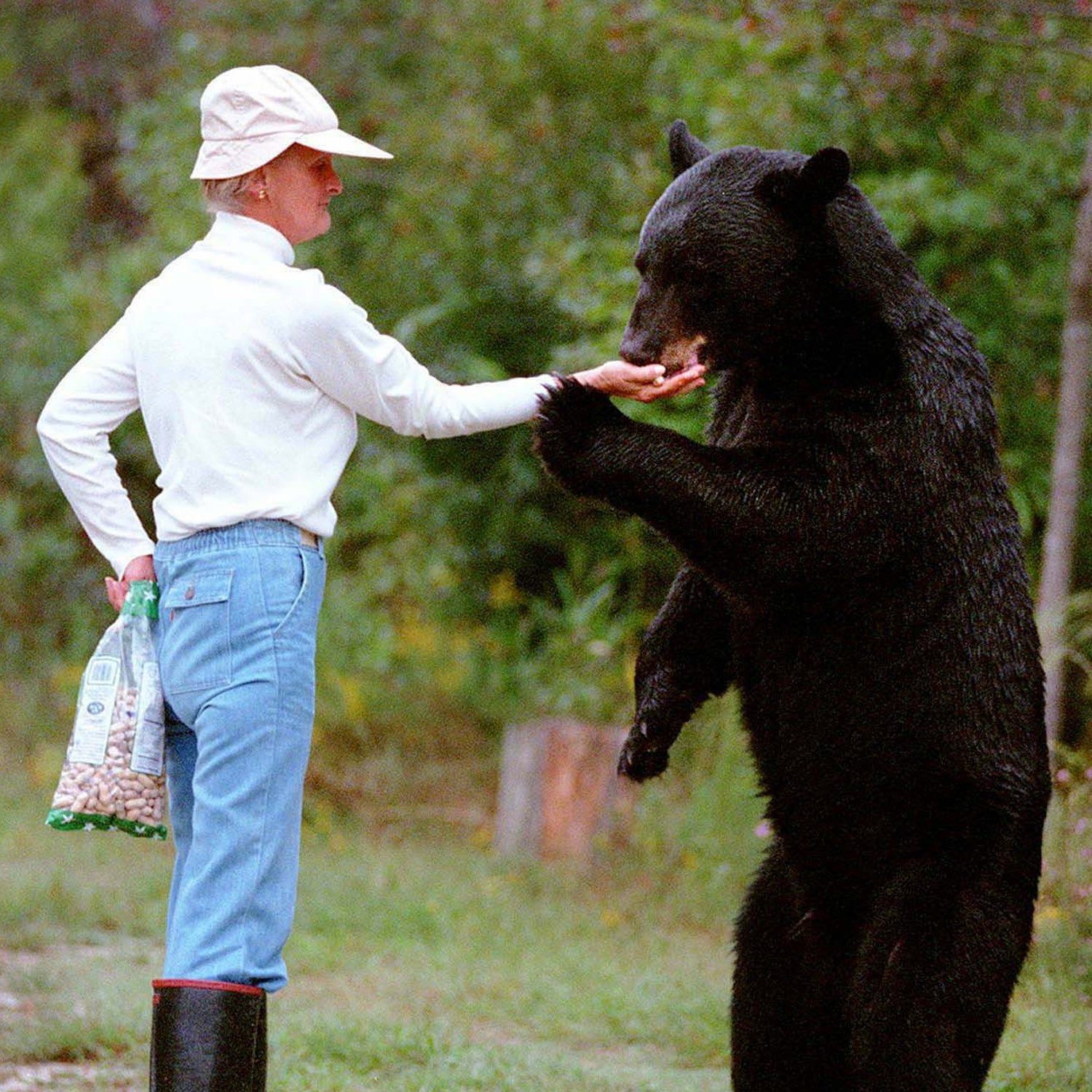 медведь и девушка картинки. The bear сериал. медведи от клосс. девушка обнимает мишку. дарья лефлер медведь.