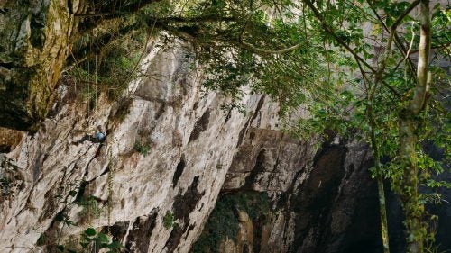 Ben Alford begins his 480-foot descent into Hoya De Gua Guas, a 735-foot-wide sinkhole. What Ben does not realize until he begins his ascent is that he just passed by a large bee’s nest. We all had bees crawling all over us as we reached the surface of the pit.