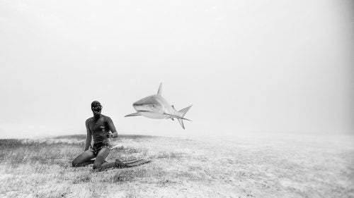 The husband and wife duo of Eusebio and Christina Saenz de Santamaria have set freediving records all over the world. Eusebio is one of few men to have reached below 100 meters under his own power, and Christina recorded the deepest self-powered dive of any Australian woman at 85 meters. Possibly more impressive than their diving skills is the pair’s photography, which they’ve made into a business under One Ocean One Breath. Based in Koh Tao, Thailand, the couple captures dazzling underwater scenes as they train and dive in some of the world’s most vibrant oceans. Here, the couple tells us about a few of their favorite shots.
Photo: One of our favorite images of all time is of Eusebio kneeling on the grassy sea floor as a Caribbean reef shark cruises by. The crystal clear waters of the Caribbean allow for this type of creative black and white photography, which we like to use as a way to express the surreal and magical world we experience—an otherworld where sharks can fly.