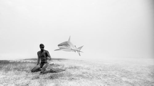 The husband and wife duo of Eusebio and Christina Saenz de Santamaria have set freediving records all over the world. Eusebio is one of few men to have reached below 100 meters under his own power, and Christina recorded the deepest self-powered dive of any Australian woman at 85 meters. Possibly more impressive than their diving skills is the pair’s photography, which they’ve made into a business under One Ocean One Breath. Based in Koh Tao, Thailand, the couple captures dazzling underwater scenes as they train and dive in some of the world’s most vibrant oceans. Here, the couple tells us about a few of their favorite shots.
Photo: One of our favorite images of all time is of Eusebio kneeling on the grassy sea floor as a Caribbean reef shark cruises by. The crystal clear waters of the Caribbean allow for this type of creative black and white photography, which we like to use as a way to express the surreal and magical world we experience—an otherworld where sharks can fly.