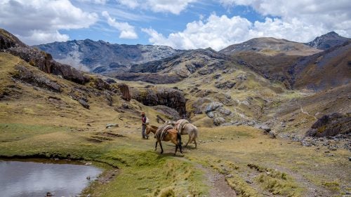 Pack horses are allowed and usually carry things like extra chairs, tents, and food. Expect healthy portions of fried platanos, granola, coffee, and fresh fruit.
