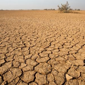 For centuries, the Devil’s Highway, a path through the desert in southern Arizona where water sources can be separated by 100 miles, was one of the harshest places in North America.