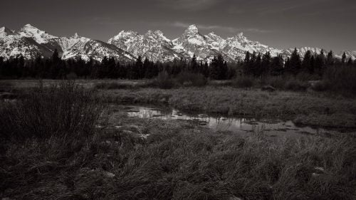In Teton National Park, I found this scene on a brisk morning: remnants of snow quickly vanishing in the textured grasses along the banks of a stream, near the Snake River. We were just in front of the Teton Mountains, hiking along the river, and I was drawn to the reflections on the surface of the water. Shortly after this image was taken, a herd of elk passed by us within a few hundred feet and crossed the stream.