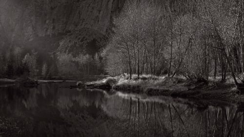 Shot along the banks of the Merced River as the last few rays of sunlight surged down the tunnel of Yosemite valley. The looming base of El Capitan, and lack of a horizon line, gives a sense of the scale of the rock formations in this area.