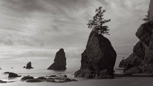 Charleston-based photographer Drew Doggett’s recent project, Shadow’s Alight; Portraits of the American West, is the result of 14,000 miles traveled in a 23-foot airstream, visiting 21 national parks. Doggett has spent much his career photographing foreign places and people whose communities are in imminent danger due to development and a lack of conservation efforts. But he wanted to turn his lens toward his own country. In celebration of 100 years of our National Park Service, Doggett set out to capture some of America’s most classic scenes to see how they’ve changed, how they’ve stayed the same, and ultimately why they’re worth protecting. Here, Doggett shares a few favorites from his recent project. Photo: This image was taken on the furthest part of Shi Shi beach, Washington, one of the most northwestern points in the United States. A several hour hike from the nearest road, this beach is one of the most secluded in the U.S., lending a real feeling of nature at its most untouched.