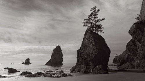 Charleston-based photographer Drew Doggett’s recent project, Shadow’s Alight; Portraits of the American West, is the result of 14,000 miles traveled in a 23-foot airstream, visiting 21 national parks. Doggett has spent much his career photographing foreign places and people whose communities are in imminent danger due to development and a lack of conservation efforts. But he wanted to turn his lens toward his own country. In celebration of 100 years of our National Park Service, Doggett set out to capture some of America’s most classic scenes to see how they’ve changed, how they’ve stayed the same, and ultimately why they’re worth protecting. Here, Doggett shares a few favorites from his recent project. Photo: This image was taken on the furthest part of Shi Shi beach, Washington, one of the most northwestern points in the United States. A several hour hike from the nearest road, this beach is one of the most secluded in the U.S., lending a real feeling of nature at its most untouched.