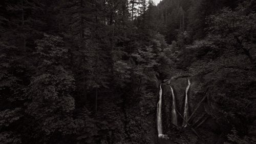 Triple Falls in Columbia River Gorge is surrounded by intricate patterns and textures of the untouched forest on all sides, and this dramatic clearing frames the three streams of Triple Falls.