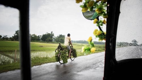 Banana delivery in the Indian state of Assam. We came across many workers carrying their produce to the local wholesale markets. At the market, there are loads of people in line to sell their bananas to big buyers who then load them into trucks. Rain is not a deterrent.
