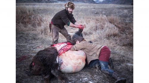Often the animal is field dressed far from the road and members of Buffalo Bridge will help by carrying large pieces back to the Native American’s cars.