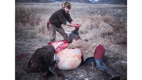 Often the animal is field dressed far from the road and members of Buffalo Bridge will help by carrying large pieces back to the Native American’s cars.