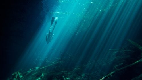 During a weeklong trip to Mexico last March, Thymann, who lives in London, drove half an hour north of Tulum to explore a few of the water-filled sinkholes—called denotes–that dot the Yucatán Peninsula. “This one was really beautiful, and since it’s so difficult to find, few people make the effort to visit it,” Thymann says, describing the subterranean water where he captured freediver Jorge Robles Brain. “That stark curtain of light ends and makes it look like he’s reaching bottom. But really his journey has just started.”
THE TOOLS: Canon Mark III, 17-4006 f/4 lens, ISO 800, f/5, 1/50 second