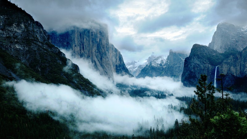 Homicides in the 54 national parks are rare; indeed, 64.5 million visitors thronged the parks in 1998, and remarkably, there were no murders.