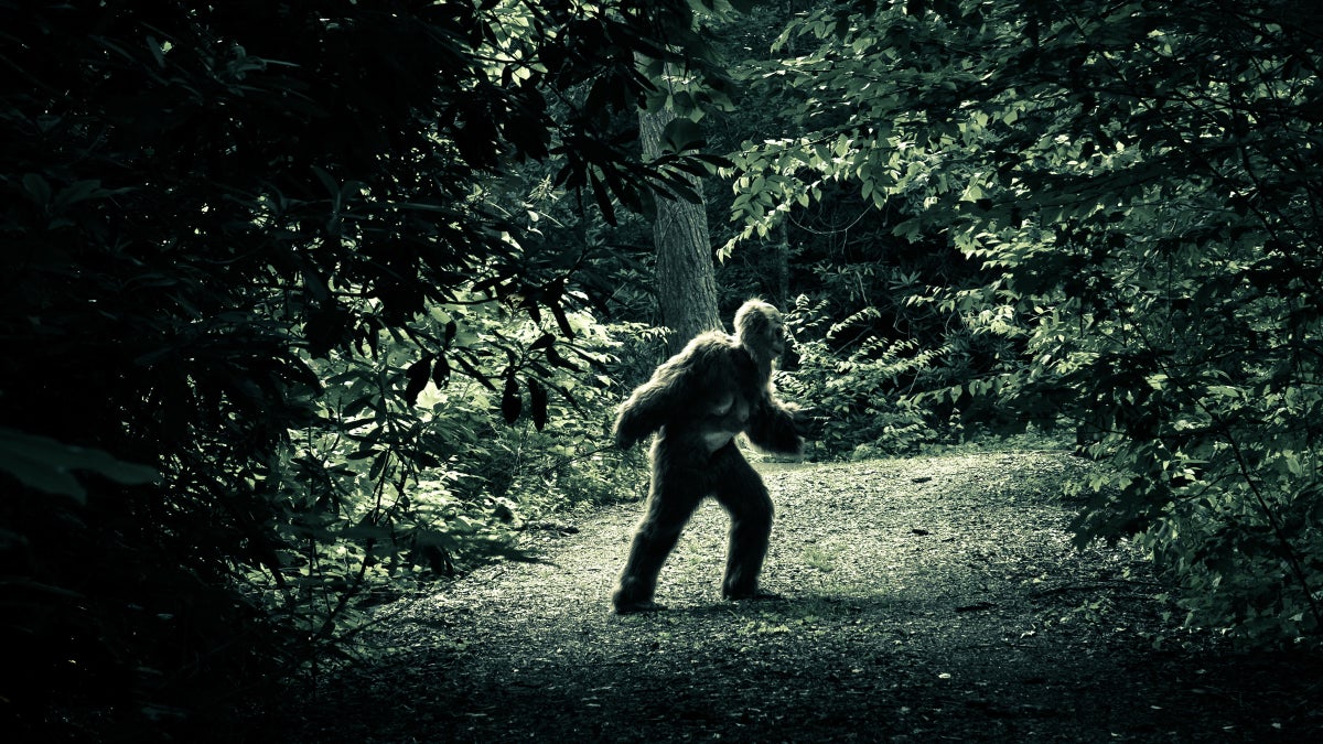 Bigfoot Portrait of an Animal That May Not Exist Outside Online