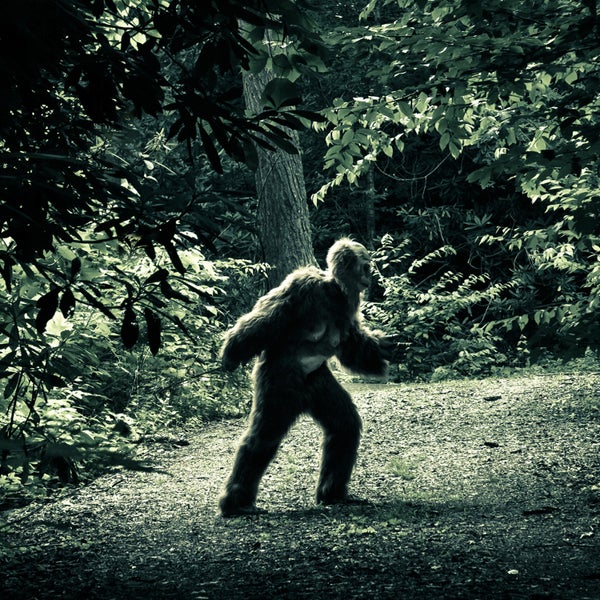 People have been spotting “Sasquatches” or “Yetis” or “Abominable Snowmen” for centuries, but it’s only recently that man has made a study of what Americans usually call Bigfoot.