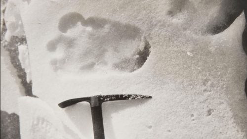British explorer Eric Earle Shipton snapped this photo while trekking through the Himalayas in 1951, alleging that the footprint belonged to a Yeti. In 2014, Christie’s Auction house in London capitalized on the worldwide interest in bigfoot and sold the original photo for nearly $5,000.