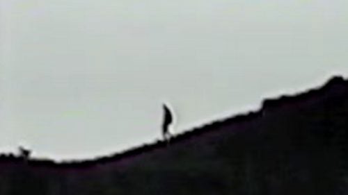 A youth group was camping in the Marble Mountain Wilderness when leader Jim Mills noticed a strange-looking creature skulking along a ridge nearby. He filmed it for nearly seven minutes, making the somewhat-grainy footage the longest video of an alleged bigfoot sighting.