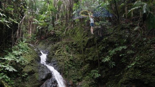 Mason tests out a handmade Space Net. The muddy, slippery terrain in Hilo makes it difficult to set the slacklines. Even worse: Mason and Lewis say there are swarms of fire ants.