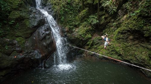 Mason tricklines through Hilo’s Botanical Gardens. Tricklines are the most difficult to rig, because they have to act like trampolines, but still be taught enough to walk like tightropes. “You’re dealing with a lot more force,” Lewis says.
