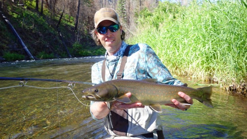 Bull trout are a sign of a clean, cold, healthy mountain river. And for some reason, the Wenaha grows ‘em big. We caught bull trout as large as 24 inches—but I swear I saw a 30-plus-inch old hog down deep in another hole. The Wenaha River is one of just three places in Oregon you can fish for bull trout, which are sometimes called “the wolves of the river” for the way they predate on smaller fish. Note: Bull trout are protected in most placed in the Pacific Northwest, and they are catch-and-release here. We handled the fish with extreme care and only had them out of the water for a quick photo before letting them go.