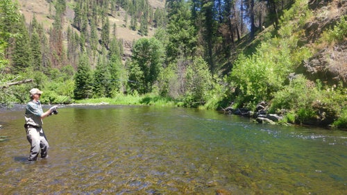 Several miles down from where the North and South Fork Wenaha rivers merge, the rapids occasionally pause, the river bends, and deeper pools form. We looked for the big fish there.