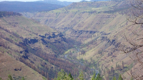 The Wenaha-Tucannon Wilderness straddles the Oregon-Washington border in northeasternmost Oregon, covering about 177,000 acres in all. It’s often a tough landscape, of big basaltic ridges and outcrops split by deep canyons. Rocky Mountain elk, bighorn sheep, whitetail and mule deer, black bear, and cougar live here. Last summer, a wildfire burned some 80,000 acres, mostly in the wilderness. We found the Wenaha River, though, in surprisingly good shape.