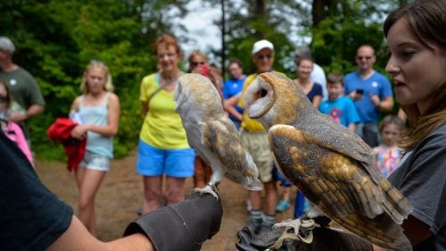 The Wild Center hosts school groups from around the county. Teachers can choose from a variety of customizable programs including hikes, live animal programs, and canoe trips.