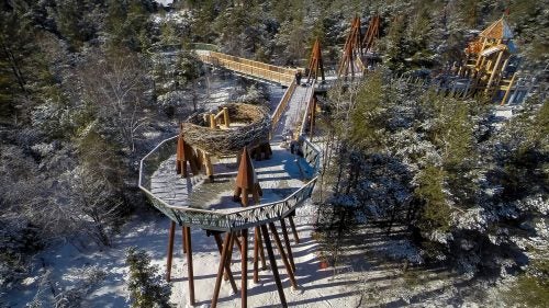 The climax of Wild Walk is a simulated eagle’s nest. At 10 feet in diameter, the nest is only slightly bigger than the largest eagle’s nest ever found.