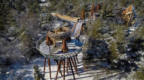 The climax of Wild Walk is a simulated eagle’s nest. At 10 feet in diameter, the nest is only slightly bigger than the largest eagle’s nest ever found.