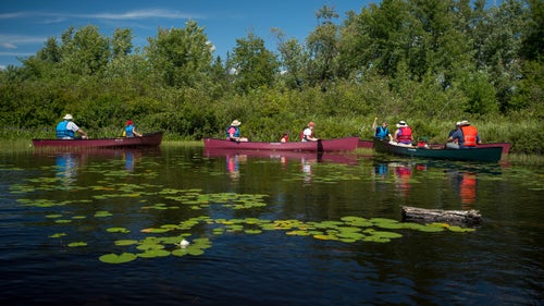 Visitors can learn about the local watershed by paddling on the Raquette River. They can watch turtles lounging in the sun, bass swimming in the shallows, and if they’re lucky, an osprey grabbing a fish on the fly.