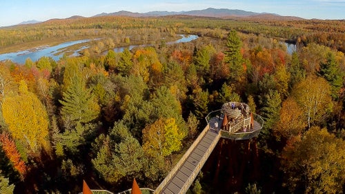 From its highest point, Wild Walk provides 40-mile views with no man made structures in sight.