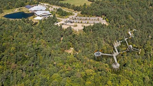 You’ve never seen a museum like this. The Wild Walk is the latest addition to the Wild Center, a museum which promotes the education of the natural history of the Adirondacks, in upstate New York. “We wanted to create a museum that was situated in the natural environment,” says Board of Trustees Member Rick Godin.
The attraction features a four-story treehouse, swinging bridges, and a human-size spiderweb, all suspended 45 feet high in the canopy. The center, which hosts nearly 140,000 visitors every year, celebrates its tenth anniversary this year.
Photo: “We consider ourselves a museum with a 6 million-acre collection,” says Godin in reference to their prime location in the middle of the Adirondacks.