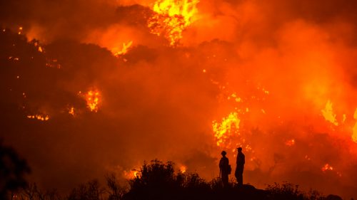 The Border Fire burns near Campo and Potrero Wednesday in San Diego County, California.
Journalists are allowed almost unlimited access to wildfires in California, even if they don’t have any fire training. Palley, however, made sure to get basic wildfire training for his own safety, and because it makes embedding with fire crews a lot easier. “It makes the crews a lot more comfortable.” he says.